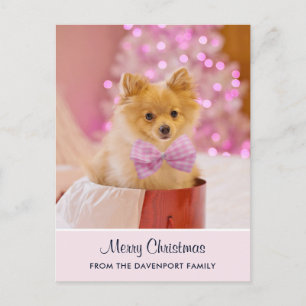 Schattige Kersthond Foto met Roze Strik & Boom Briefkaart