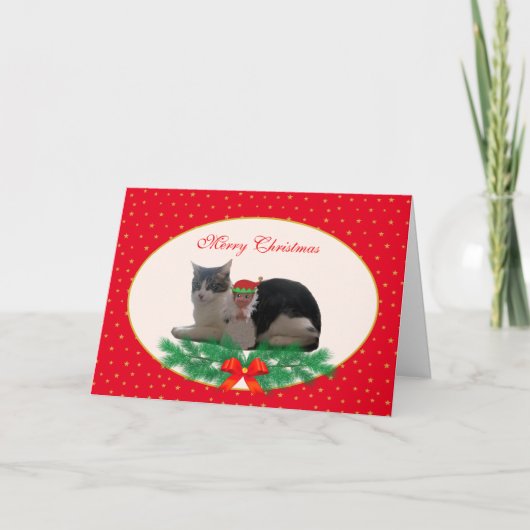 Schattige Kerstkat & engel elf op rode kaart (Voorkant)
