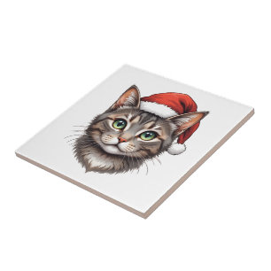 Schattige Kerstkat met Sinterklaashoed Tegeltje
