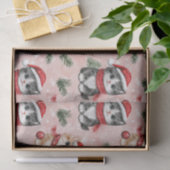 Schattige Kerstkatjes op Roze Tissuepapier (Geschenk)
