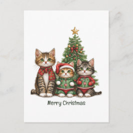 Schattige kerstkatten feestdagenkaart