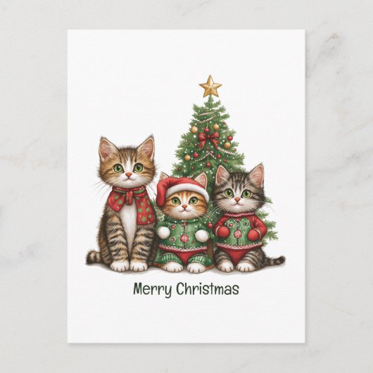Schattige kerstkatten feestdagenkaart (Voorkant)