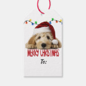 Schattige Kerstman Goldendoodle Kerstmis Cadeaulabel (Voorkant)