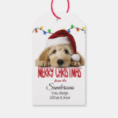 Schattige Kerstman Goldendoodle Kerstmis Cadeaulabel (Achterkant)