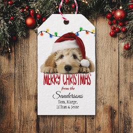 Schattige Kerstman Goldendoodle Kerstmis Cadeaulabel