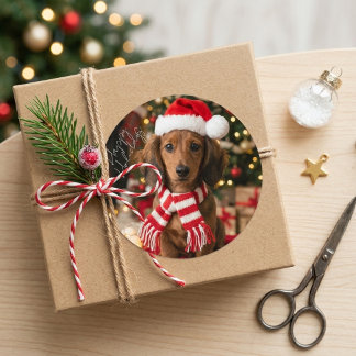 Schattige Kerstmis Dachshund Kerstman Hoed Vakanti Ronde Sticker