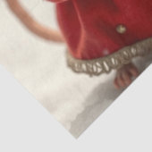 Schattige kerstmuizenweefselpapier tissuepapier (Detail)