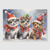 Schattige Kerstpuppy's met Kerstmannenmutsen  (Voorkant)