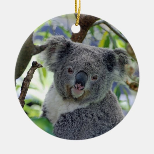 Schattige kerstversiering in baby koala keramisch ornament (Voorkant)