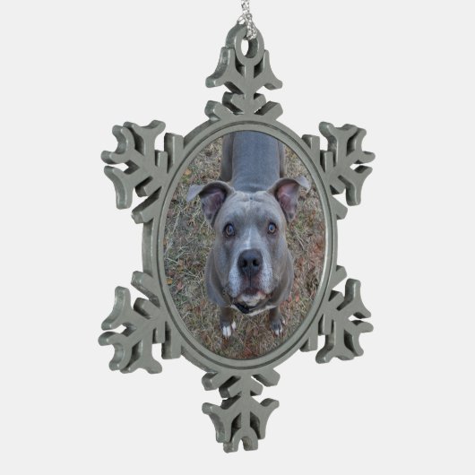 Schattige kerstversiering in Pitbull Tin Sneeuwvlok Ornament (Links)