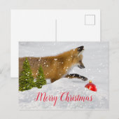 Schattige Kerstvos en Rode Versiering Briefkaart (Voorkant / Achterkant)