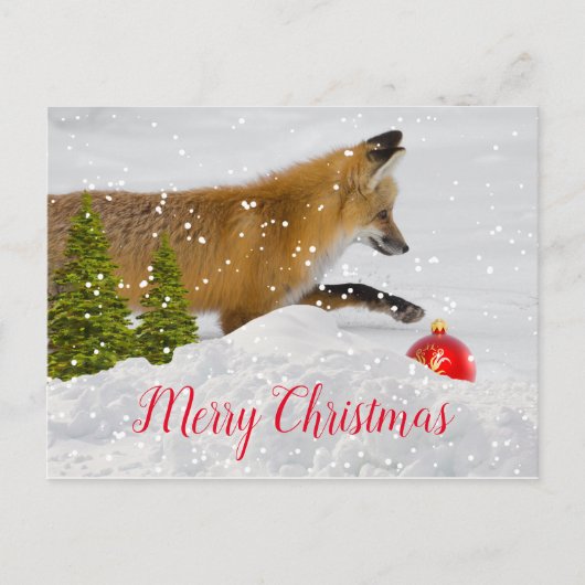 Schattige Kerstvos en Rode Versiering Briefkaart (Voorkant)