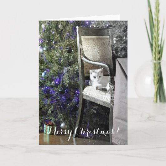 Schattige kerstWenskaart! Feestdagen Kaart (Voorkant)