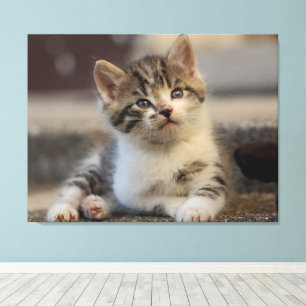 schattige keuken canvas afdruk