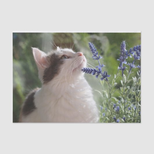 Schattige keuken in de tuin tissuepapier (Voorkant)