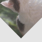 Schattige keuken in de tuin tissuepapier (Detail)