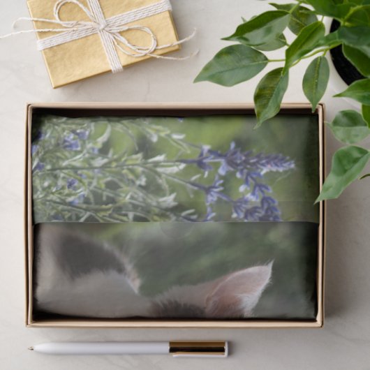 Schattige keuken in de tuin tissuepapier (Geschenk)