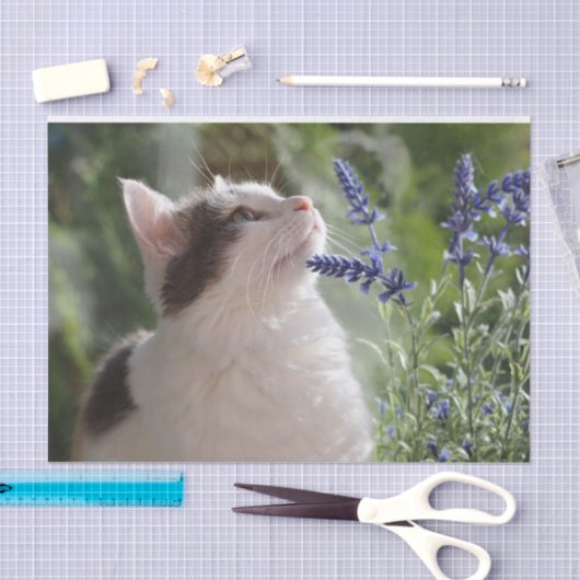 Schattige keuken in de tuin tissuepapier (Craft)