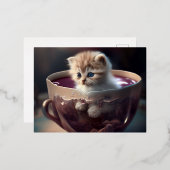 schattige keuken in een ontwerp van een briefkaart (Voorkant / Achterkant)