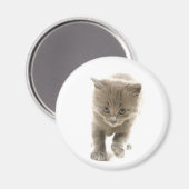 schattige keuken magneet (Voorkant / Achterkant)