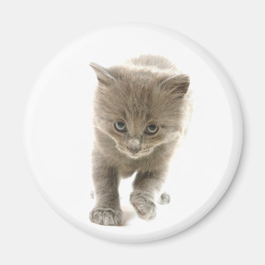 schattige keuken magneet (Voorkant)