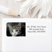 Schattige Keukenadresetiketten voor Keukenretjes Etiket (Insitu)