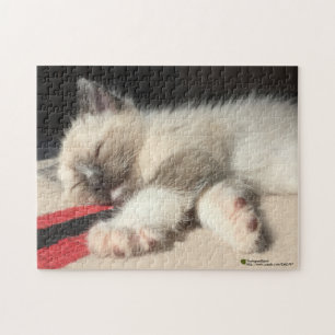 Schattige keukenfoto legpuzzel