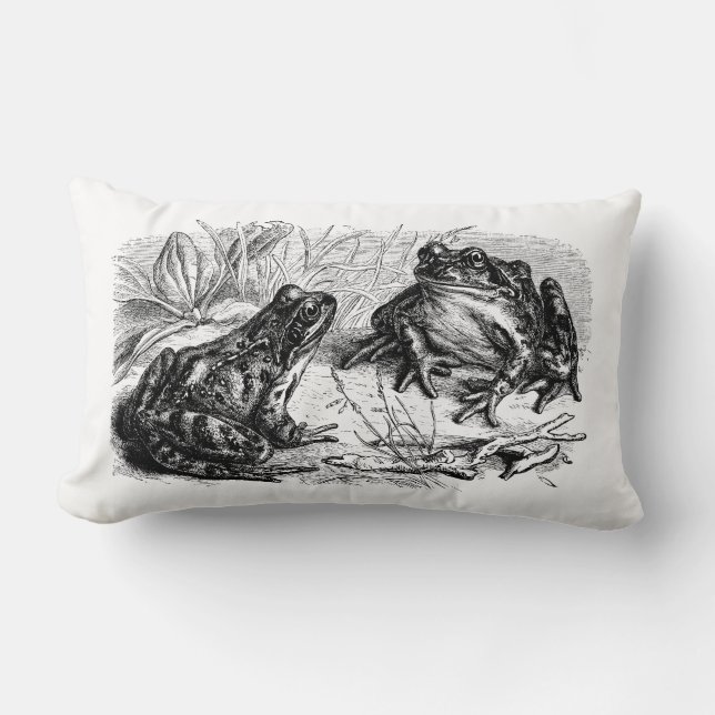 Schattige  kikkerliefhebbers Decor kussen (Voorkant)