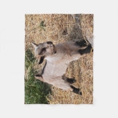 Schattige Kind Fleece Deken (Voorkant)