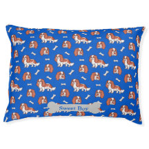 Schattige King Cavalier Paws Botten Blue Pet Desig