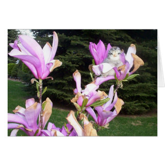 schattige kip in een bloem