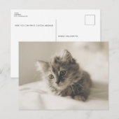 Schattige Kitten Ansichtkaart Briefkaart (Voorkant / Achterkant)