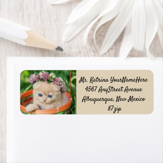Schattige Kitten Cat Lover Etiket (Insitu)