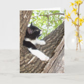 Schattige kitten denkt aan je kaart (Gele Bloem)