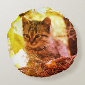 Schattige Kitten Foto Baby Cat Rond werpkussen Rond Kussen (Achterkant)