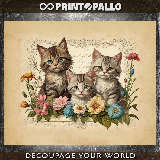 Schattige kitten in bloemensamenstelling - tissuepapier