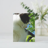 Schattige kitten in een boom briefkaart (Staand voorkant)