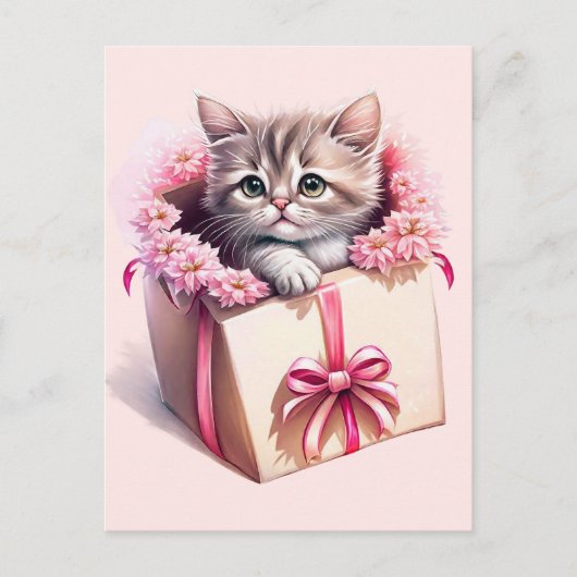Schattige kitten in een doos Verjaardagscadeau Briefkaart (Voorkant)