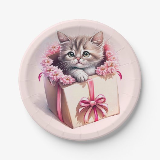 Schattige kitten in een doos Verjaardagscadeau Papieren Bordje (Voorkant)