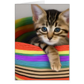 Schattige kitten in een kleurrijke mand Blank Insi (Voorkant)