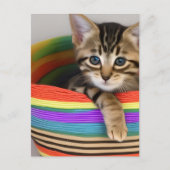 Schattige kitten in een kleurrijke mand briefkaart (Voorkant)
