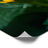 Schattige kitten met blauwe ogen poster (Hoek)