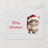 Schattige kitten met kerst Pet Briefkaart (Voorkant)