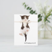 schattige kitten rondhangen briefkaart (Staand voorkant)