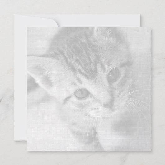 Schattige Kitten Square Flat Hartelijk dank Bedankkaart (Achterkant)