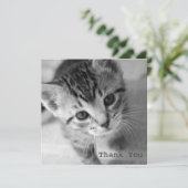 Schattige Kitten Square Flat Hartelijk dank Bedankkaart (Staand voorkant)
