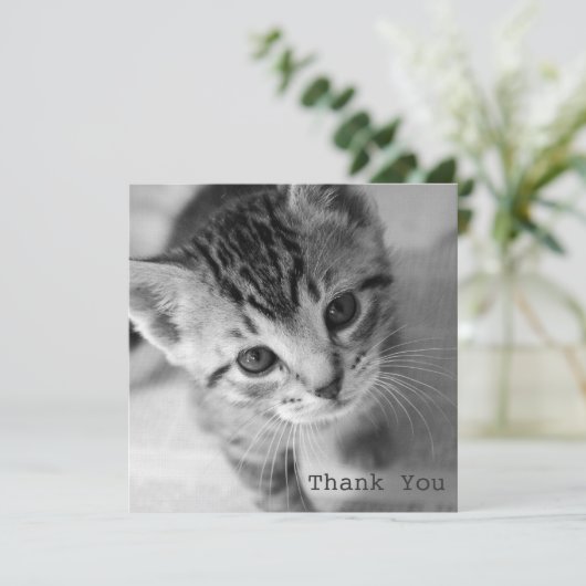 Schattige Kitten Square Flat Hartelijk dank Bedankkaart (Staand voorkant)