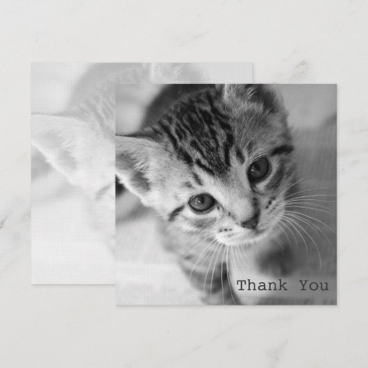 Schattige Kitten Square Flat Hartelijk dank Bedankkaart (Voorkant / Achterkant)