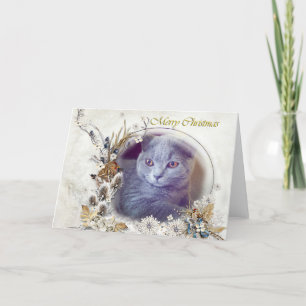 Schattige kitten Vrolijk kerstkaartje Feestdagen Kaart
