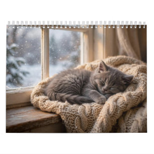 Schattige Kittens 12-Maanden Muurkalender Kalender